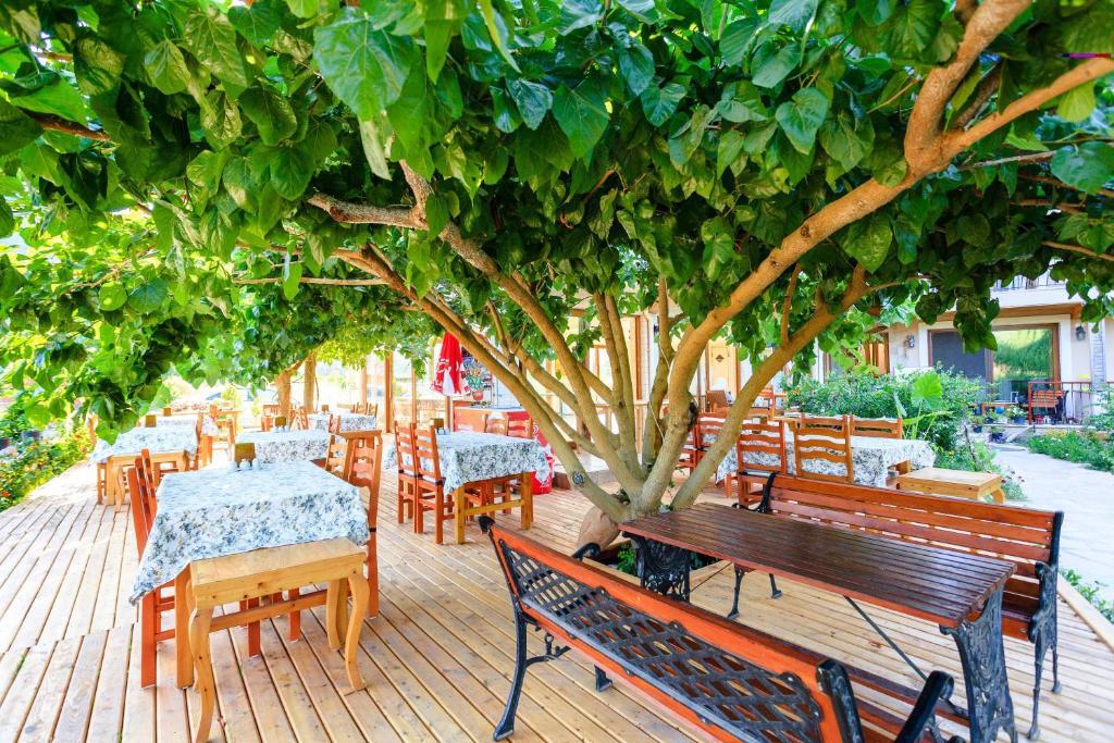 Adrasan Deniz Hotel Exterior photo